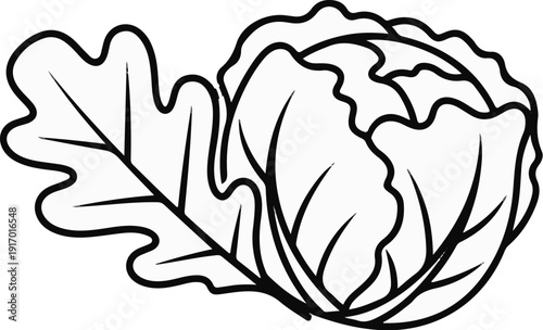 Outline of a leafy green vegetable with a separate leaf