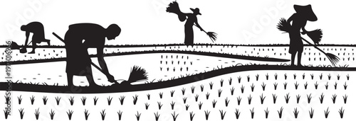 Farmers planting rice in a field black and white agriculture