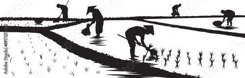 Farmers Planting Rice in Flooded Fields Silhouette