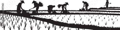 Farmers Planting Rice in Paddy Fields Silhouette