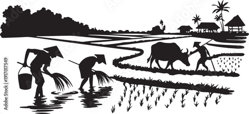 Farmers working in rice fields with water buffalo rural