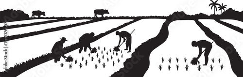 Silhouette of farmers planting rice in flooded fields with water buffaloes