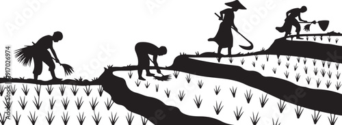 Silhouette of farmers working in rice fields agriculture