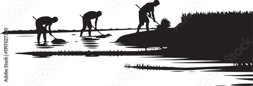 Silhouette of People Working in a Marshy Area water
