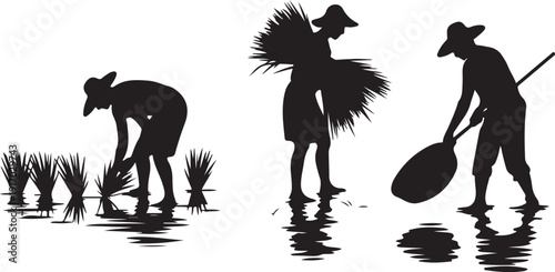 Silhouettes of Farmers Working in Rice Fields farming