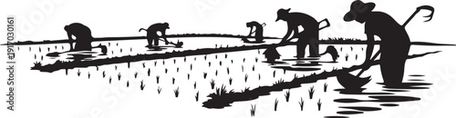 Silhouettes of people planting rice in a flooded field