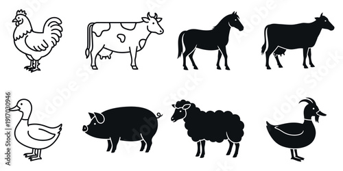Black and white farm animal farm animals animal black and white rooster horse