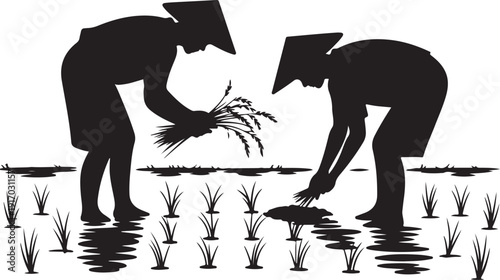 Two People Planting Rice in a Paddy Field farming agriculture