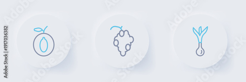 Set line Onion, Grape fruit and Plum icon. Vector