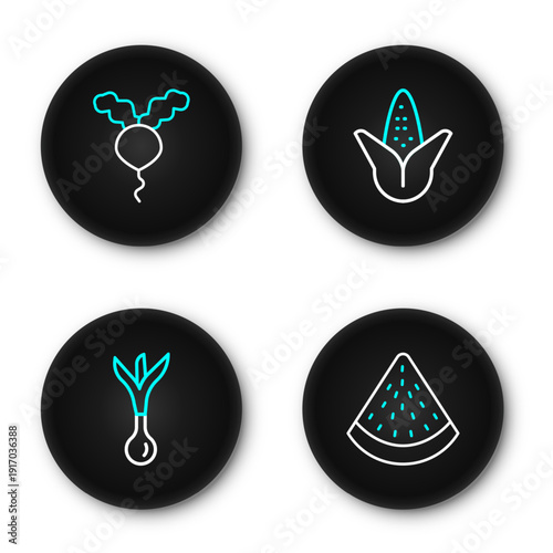 Set line Watermelon, Onion, Corn and Radish icon. Vector