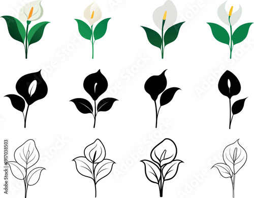 Peace Lily Flower Set in Multiple Illustration Styles