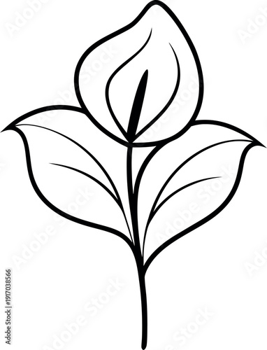 Minimalist Peace Lily Flower Line Art Illustration