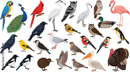 Bird species cartoon vector collection with tropical forest and wild birds colorful illustration set