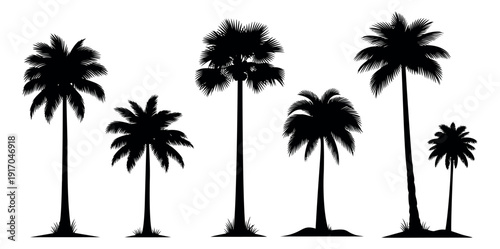 Tropical silhouette palm trees set featuring various types and sizes for summer vacation designs