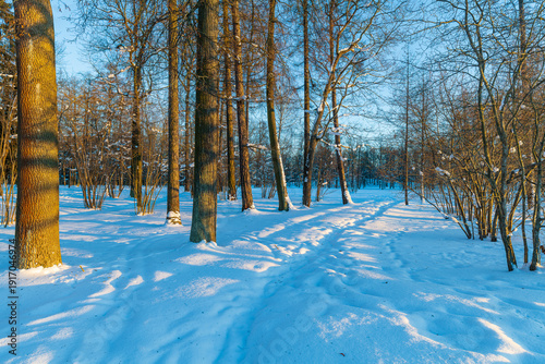 Winter landscape in Catherine Park. Tsarskoye Selo, Pushkin, Saint Petersburg, Russia