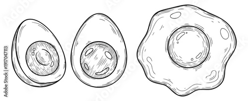 Hand drawn line art egg set featuring boiled egg halves and a fried egg for breakfast cooking