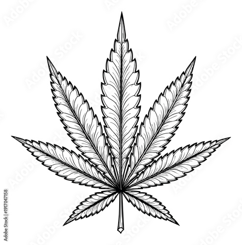 Hand drawn line art illustration of a cannabis leaf depicting detailed botanical style for herbal medicine and natural wellness design