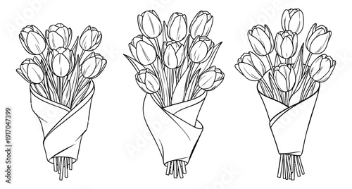 Hand drawn line art tulip bouquets set featuring bundled spring flowers for various designs