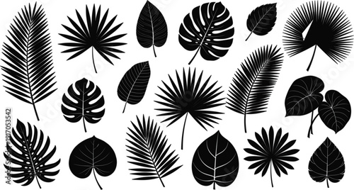 Collection of tropical leaf silhouettes featuring monstera palm fronds and exotic jungle foliage for summer beach branding botanical patterns and nature-themed graphic design.