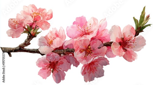 Vibrant pink cherry blossoms on branch with delicate petals and green leaves.