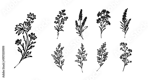 Hand drawn wild botanical set in Japanese ink brush style, expressive monochrome floral silhouettes inspired by dry brush calligraphy and natural meadow plants.