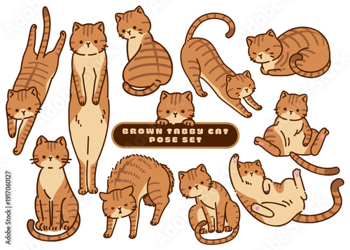 茶トラ猫の仕草と表情の詰め合わせセット / Brown Tabby Cat Action and Pose Set