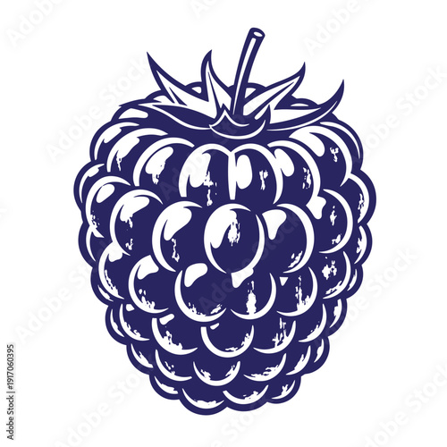 Grunge texture A large blueberry with a stem and leaves on top against a plain white background  a single fruit illustration Vintage Style