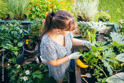 Fotografía Woman tending green plants on a flower filled urban balcony in natural daylight