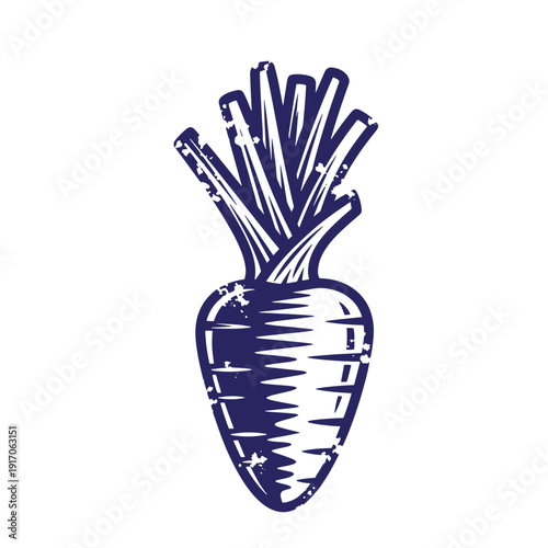 Grunge texture Drawing of a large white radish with green leafy top against a white background Vintage Style