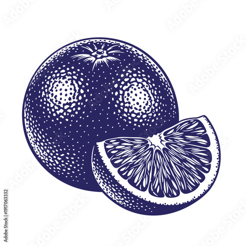 Grunge texture Drawing of a whole and sliced citrus fruit with detailed texture on white background  illustration Vintage Style