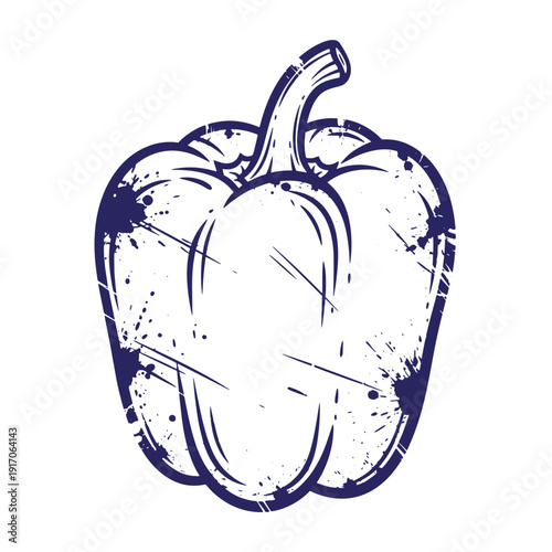 Grunge texture Grungy illustration of a white bell pepper with stem and dark blue outline and shading on clean white background Vintage Style