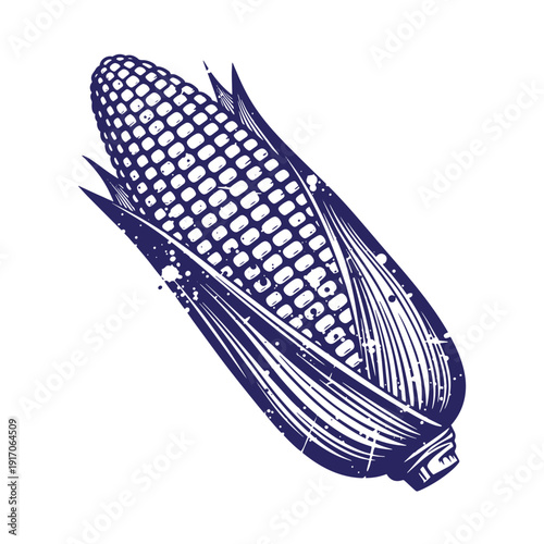 Grunge texture Illustration of a single ear of corn with husk and leaves in a vintage style on white background Vintage Style