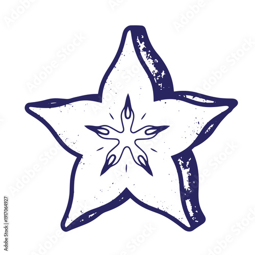 Grunge texture starfish illustration with grunge texture on white background  marine animal symbol Vintage Style