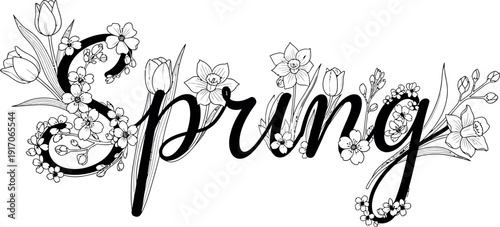 Elegant black and white calligraphy rendering of the word spring beautifully adorned with detailed line art illustrations of blooming tulips daffodils and small cherry blossoms