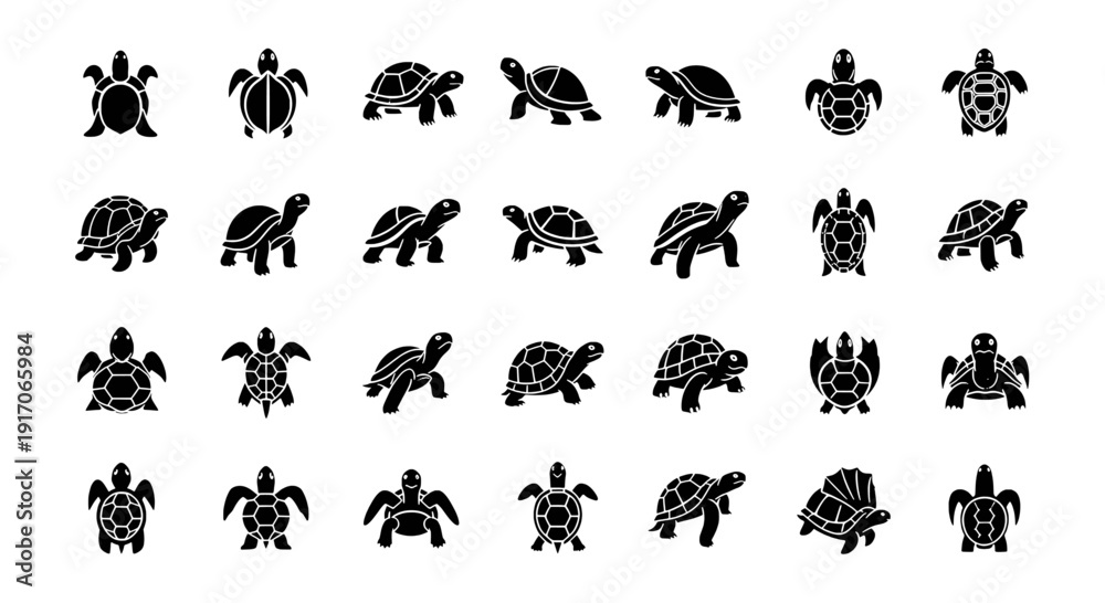 Fototapeta premium Set of Turtle Vector Illustration