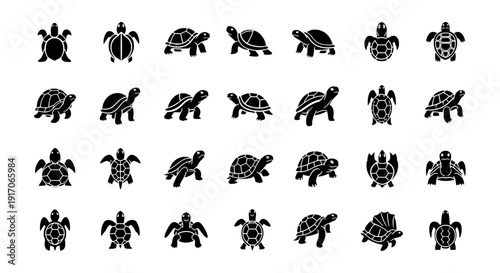 Set of Turtle Vector Illustration