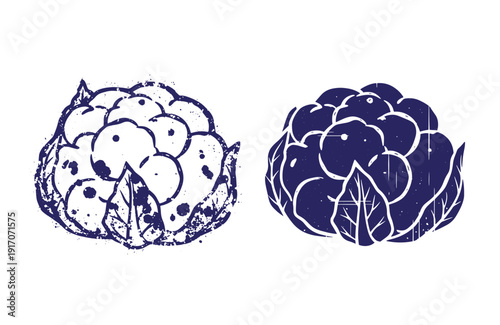 Grunge texture Artichoke illustrations in blue ink on white background  two different styles side by side Vintage Style