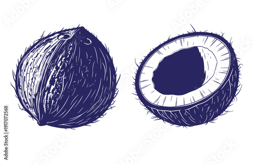 Grunge texture Drawing of whole and halved coconut with hairy shell and visible inner cavity Vintage Style