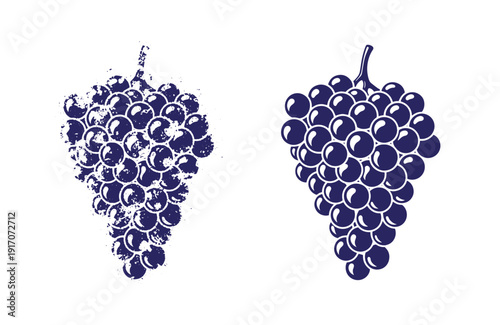 Grunge texture Grape bunches in two different illustration styles on white background  one realistic and one grungy Vintage Style
