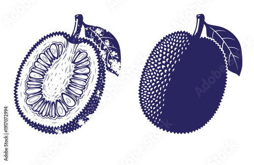Grunge texture Mussel fruit illustration with one whole and one half fruit with leaves on white background Vintage Style