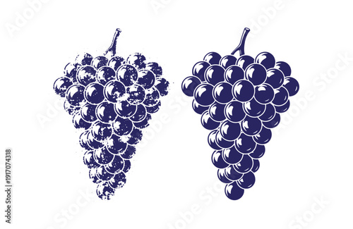 Grunge texture Two blue illustrations of grape bunches with stems on white background  fruit still life Vintage Style