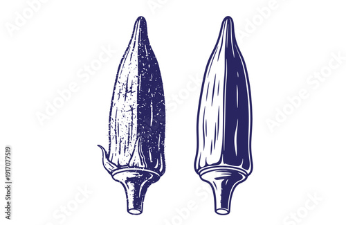 Grunge texture drawings of two okra pods on white background Vintage Style