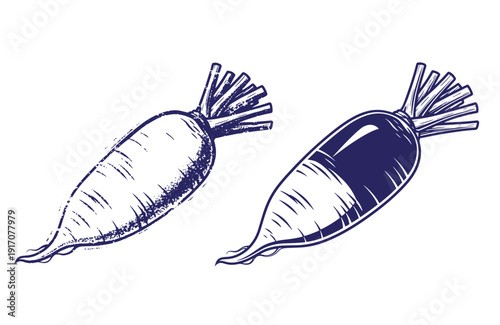 Grunge texture navy blue illustrations of two turnips with green tops on white background Vintage Style