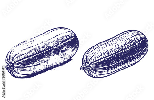 Grunge texture Two navy blue zucchinis with detailed textured lines and shading on white background for culinary or gardening use Vintage Style