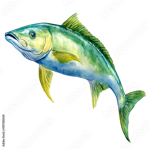 Mahi-mahi, illustration watercolor with playful splashes and delicate line details, isolated on a white background.