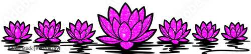 Pink lotus flowers blooming on water surface