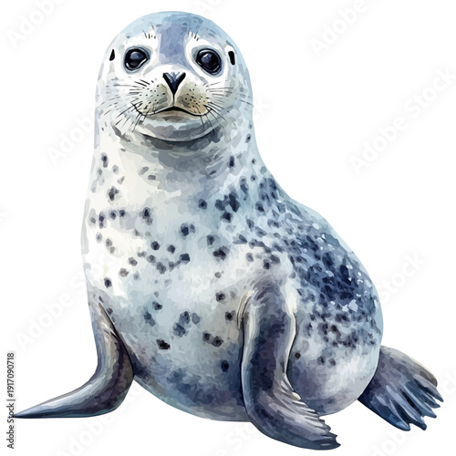 Harbor Seal, illustration watercolor with dynamic strokes and balanced color harmony, isolated on a white background.