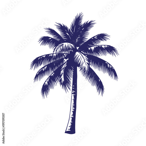 Grunge texture A blue palm tree with long leaves on a white background Vintage Style