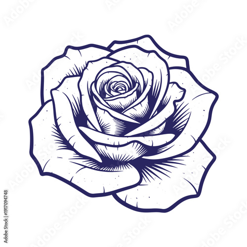 Grunge texture Detailed illustration of a single blooming rose flower in a sketch style with bold lines and shading  a stylized representation of a rose Vintage Style