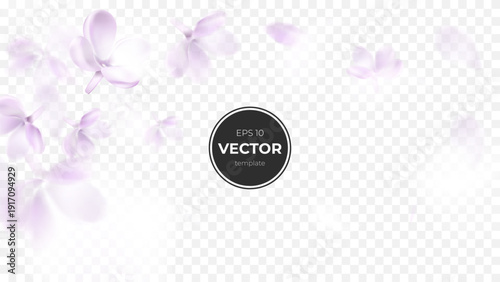 Delicate purple flower petals creating a soft, dreamy background effect.